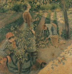 Die Apfelpflücker, 1886